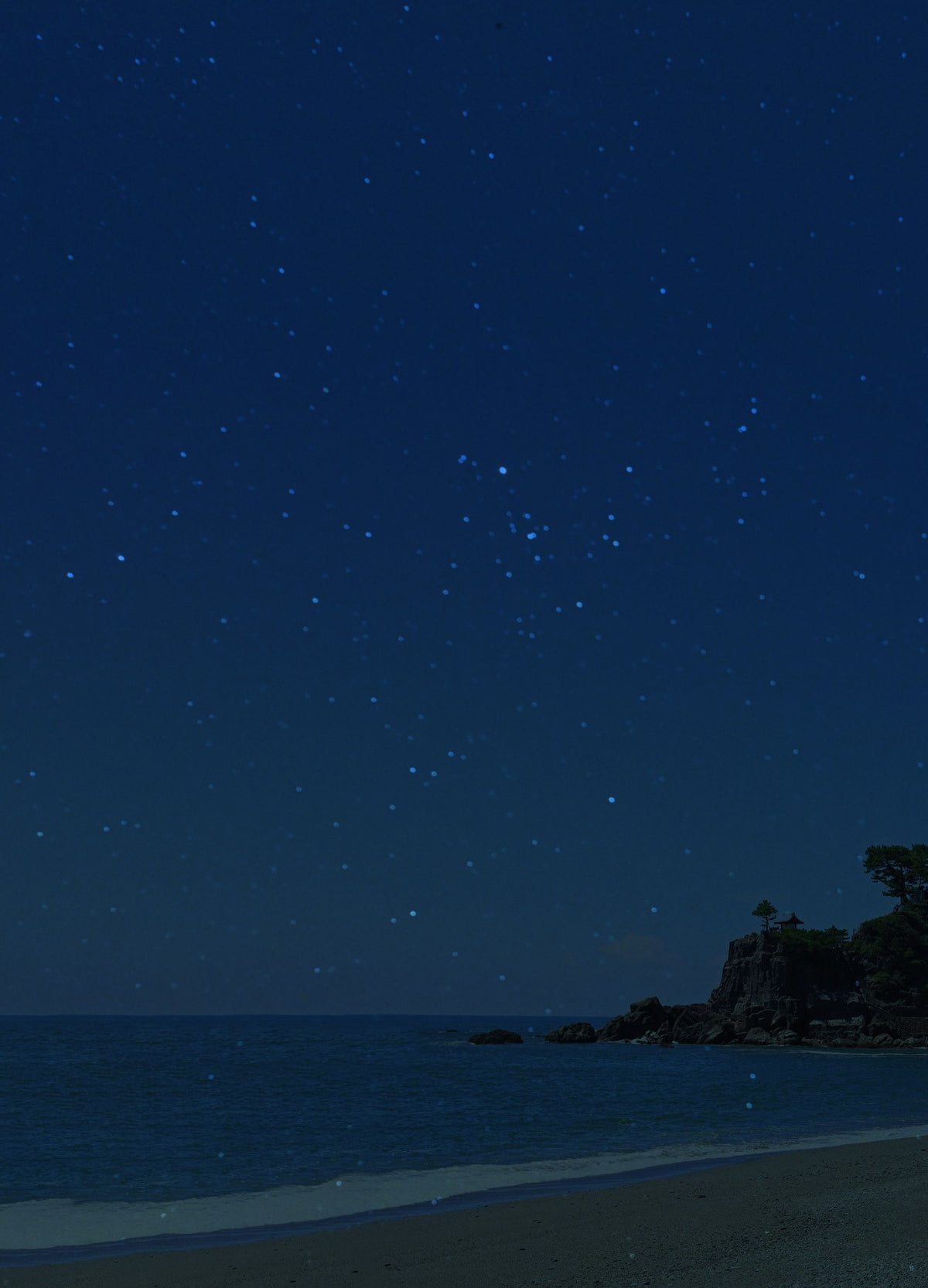 夜の桂浜と龍王岬