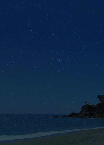 夜の桂浜と龍王岬
